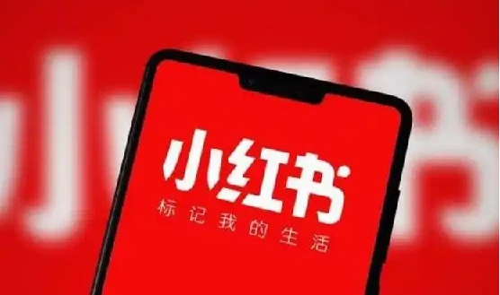 小红书爆款种草视频图文实操课