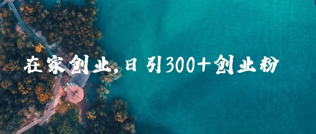 在家创业，日引300+创业粉，一年收入30万，闷声发财的小生意，比打工强 图片