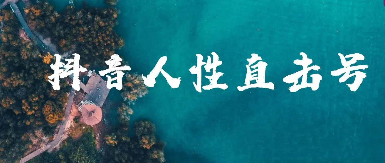 2023最新冷门暴利赚钱项目，人性直击图文号，日收入1000+【视频教程】