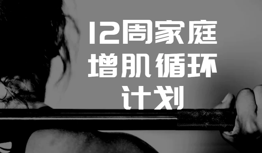 卓叔增重：12周家庭增肌循环计划