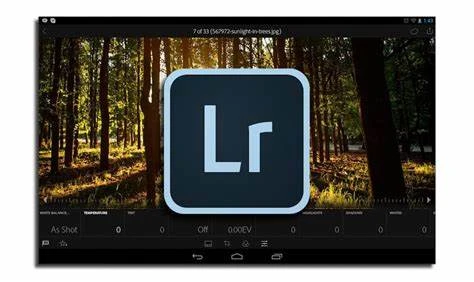 Adobe Lightroom Classic 11.5 SP