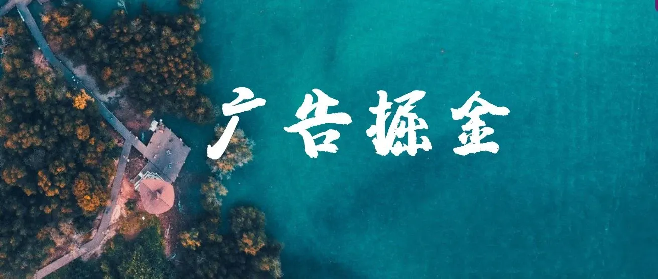 广告掘金日赚160+（附养机教程） 长期稳定，收益妙到 图片