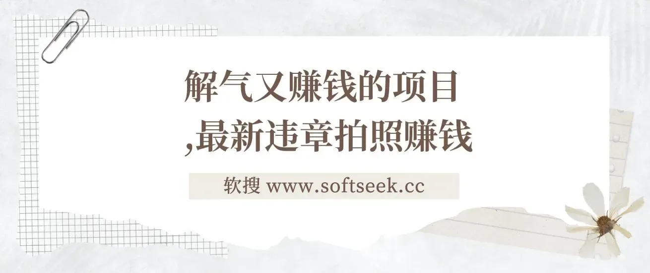 最新违章拍照赚钱，随手一拍，轻松收入3000+