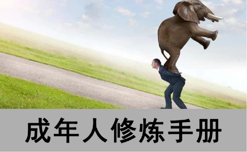 成年人修炼手册（一套4本合订版）