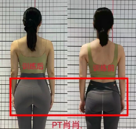 11天腰臀腿塑形课 健身减肥塑形