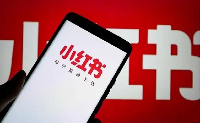 免费小红书去水印视频下载器 一键搞定高清无水印内容：小红书(RedNote)视频下载