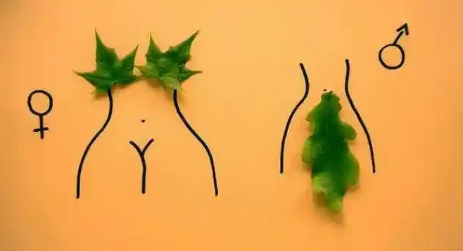 性科学书籍总汇