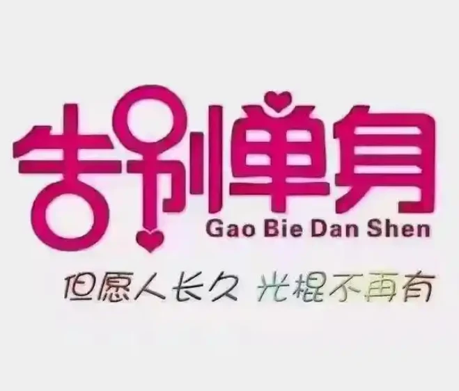 恋爱情报局.脱单12技