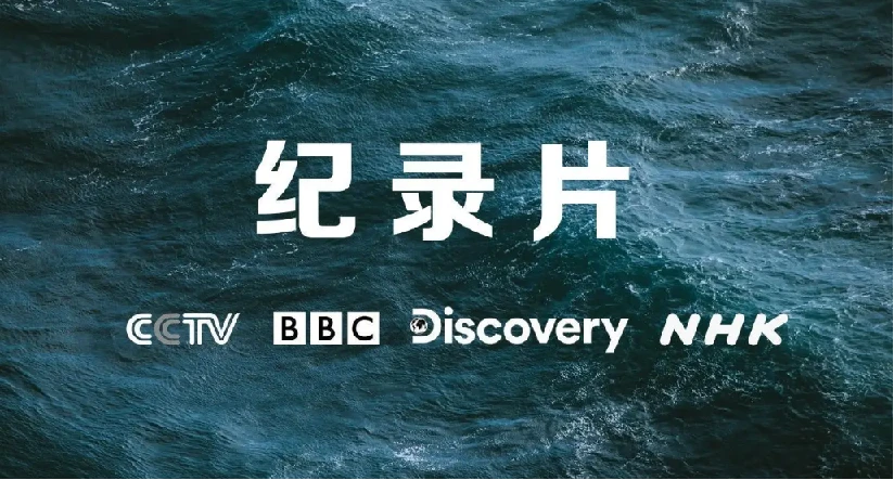 央妈推荐《寒暑假学生必看》小初高纪录片合集