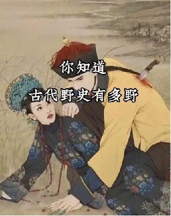 历朝历代野史秘史合集
