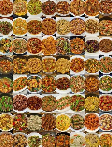 100道名菜制作视频教程