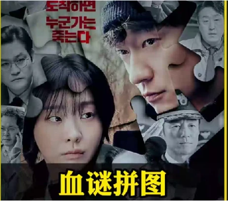 2025最新韩剧.血谜拼图.全11集.1080p.韩语中字