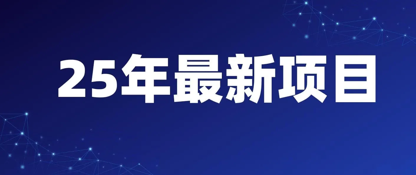 一天收益1000+ ,25年开年落地好项目